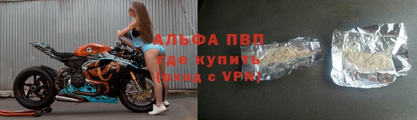 спиды Вяземский