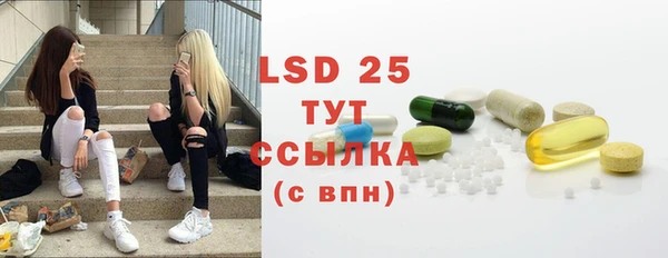 спиды Вяземский