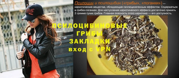 спиды Вяземский