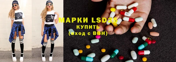 спиды Вяземский