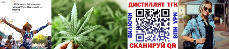 Купить закладки  Полярные Зори  Дистиллят ТГК гашишное масло 