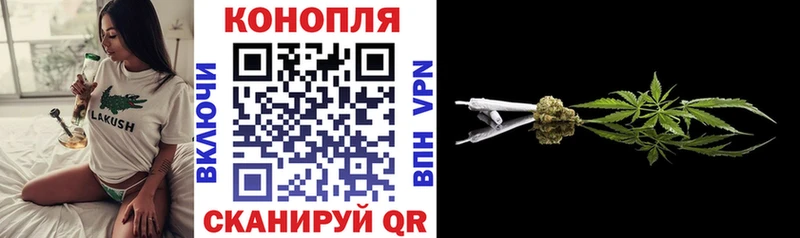 Купить закладки  Полярные Зори  Конопля LSD WEED 